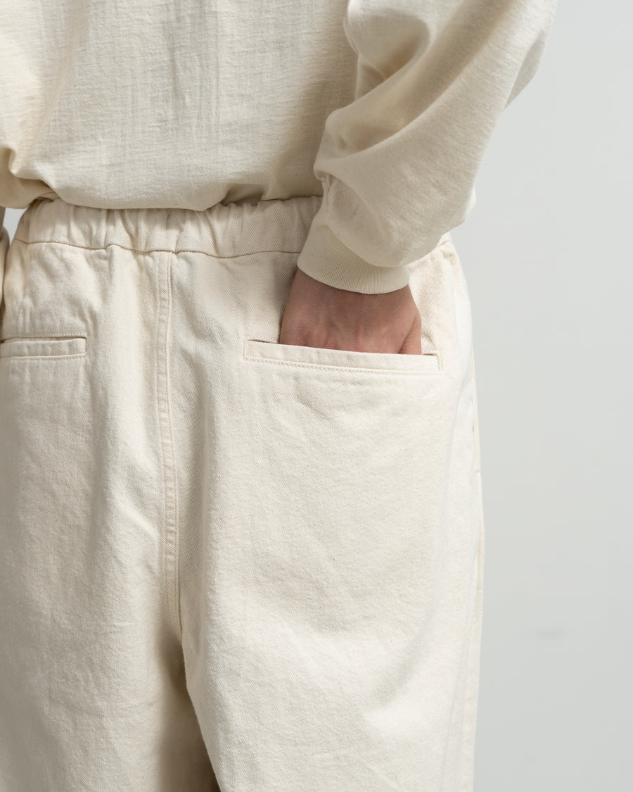 Recycled Cotton Twill Two Tuck Easy Pants – Graphpaper