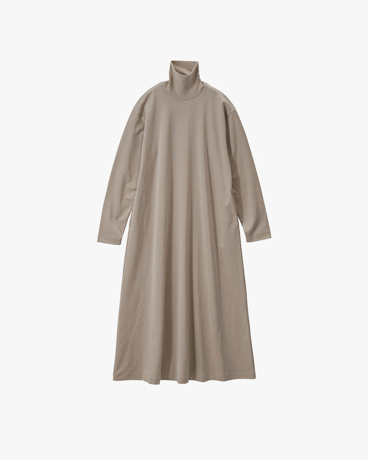 Brushed Mockrody High Neck Dress