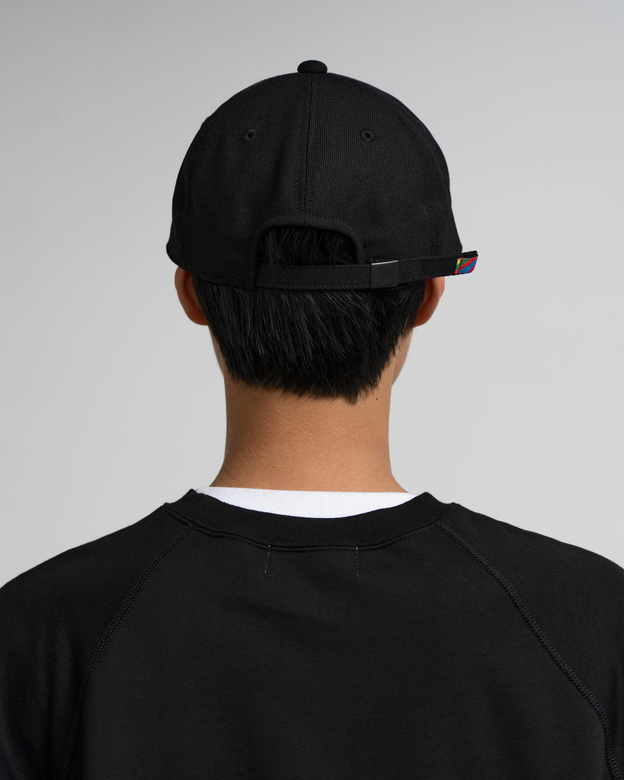 SFE 6 PANEL CAP