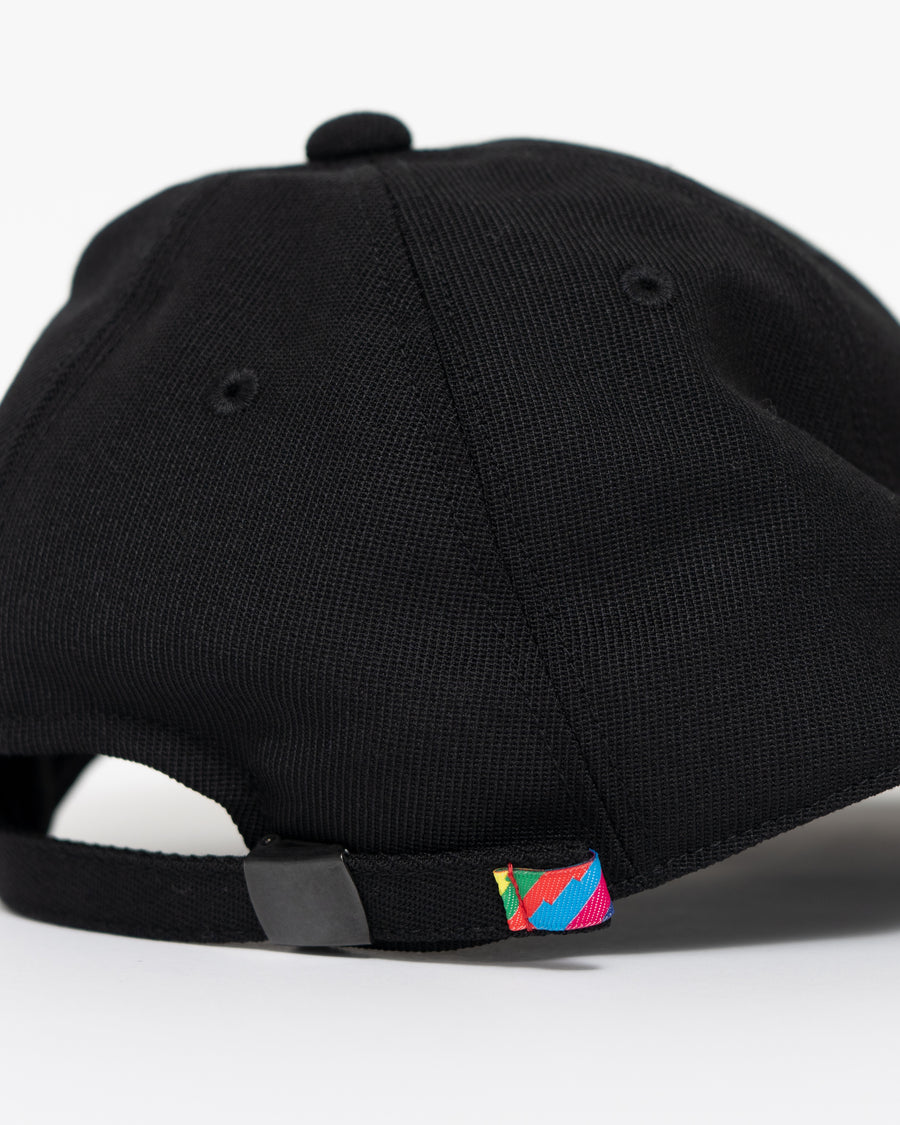 SFE 6 PANEL CAP