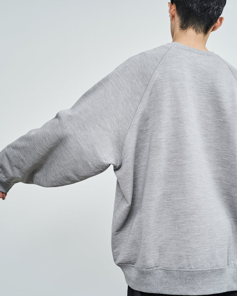 TROVE / CREW NECK SWEAT / GRAPHITE apave.mg